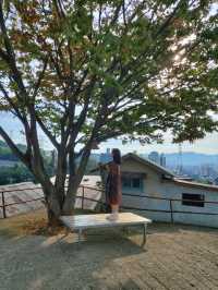 [전남 순천] 순천 가볼 만한 곳🤗