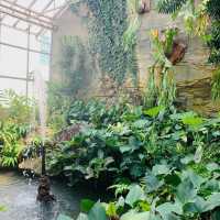 【インドネシア】壮大な植物園　“Kebun Raya Bogor”
