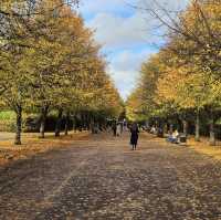 🍁A walk in the park 🍁