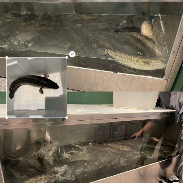 挑戰味蕾極限！張家港必嘗本素酸菜魚！