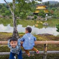 The Golden Kinkaku Ji in Kyoto