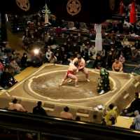 Sumo in Tokyo! 