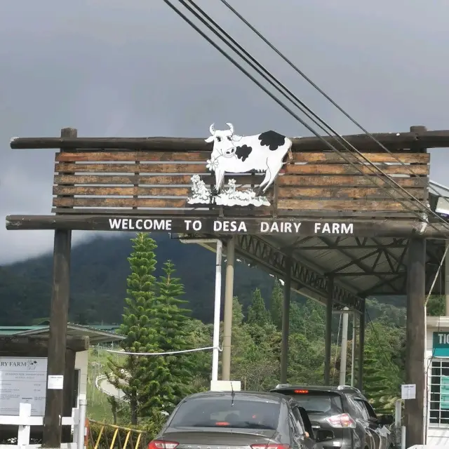 Desa Farm Kundasang, Sabah