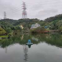 媲美動物園的台灣山豬城