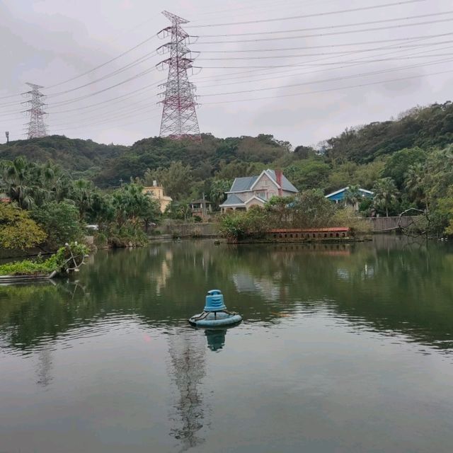 媲美動物園的台灣山豬城