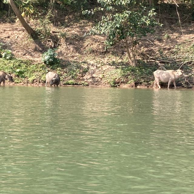 陸の孤島ムアンゴイへの唯一の交通手段　Nong Kheaw Pier