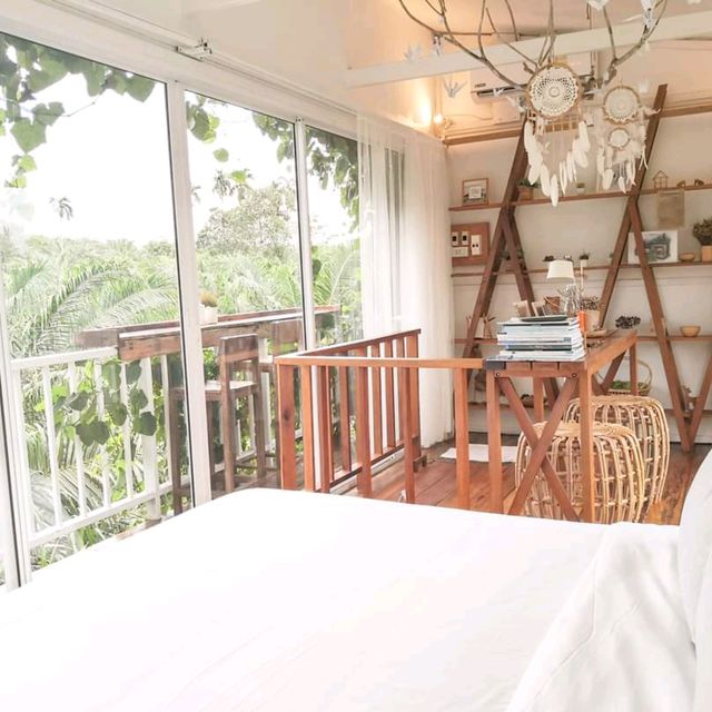 ☁️🌷 บ้านไร่ไออรุณ บ้านในฝัน ตื่นมาจอหมอกสวยๆ 