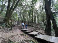 เส้นทางศึกษาธรรมชาติกิ่วแม่ปาน