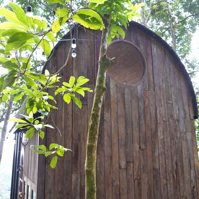 泰國清邁的新渡假屋Taloh Cabin