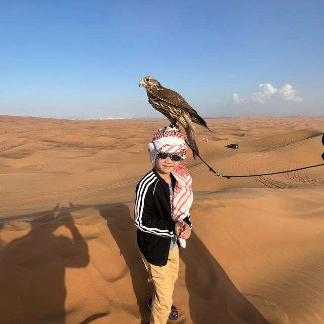 夜遊杜拜沙漠🏜️