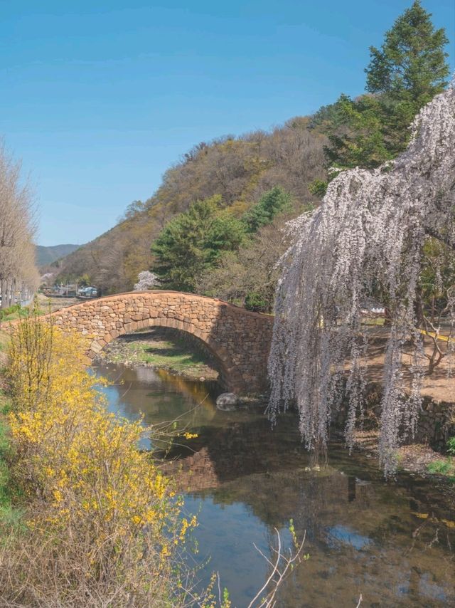 이국적인 동화같은 여행지 풍경 "영산 만년교"