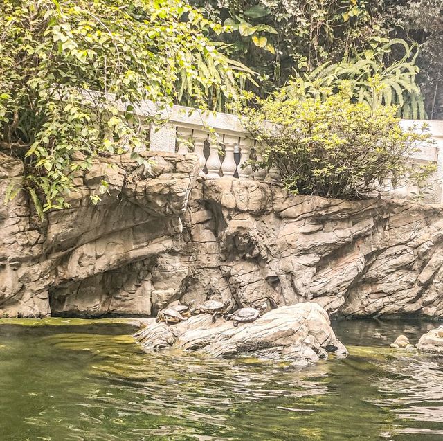 Waterfalls in the Park? Isn't it cool?
