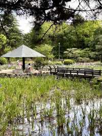 鶴舞公園