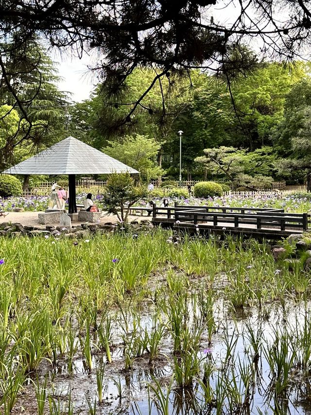鶴舞公園