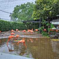 上野動物園～可愛熊貓包