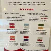 【福岡】wアイスクリームファクトリー🍦♡