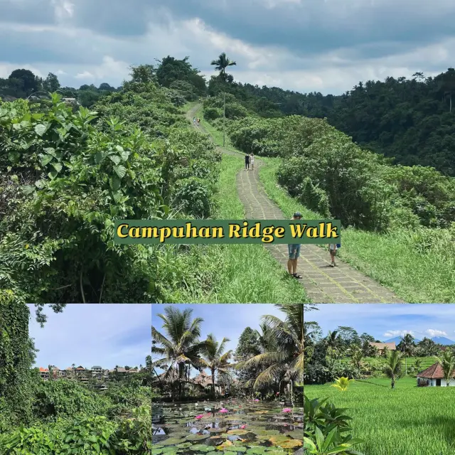 Campuhan Ridge Walk