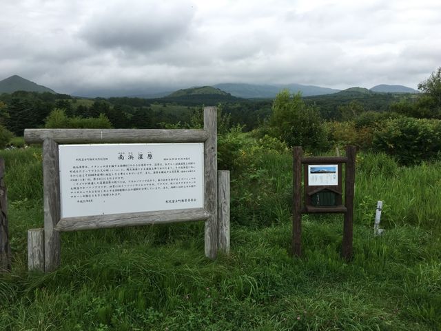 北海道　北海道観光　利尻島の南浜湿原に行ってきた！