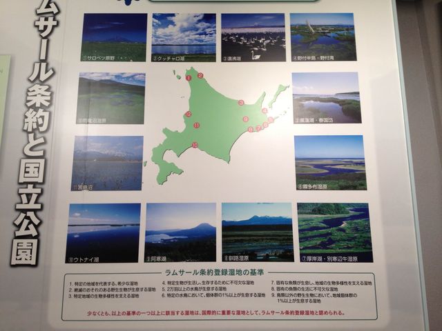 北海道　北海道観光　釧路湿原を一望できる釧路湿原展望台からの絶景に感動！