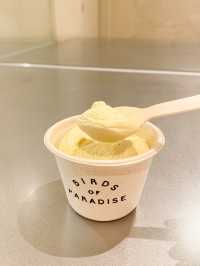 《新加坡世一Gelato雪糕🍨｜開心果特別口味💚》