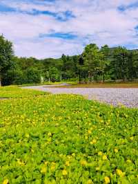 เฌอกะฌอฟาร์มสเตย์ Sher ga Shaw farmstay 