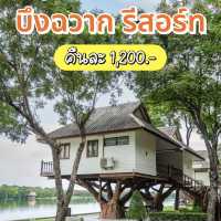 🏡นอนบ้านต้นไม้สุดชิค บรรยากาศชิลล์"บึงฉวากรีสอร์ท