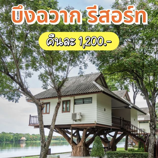 🏡นอนบ้านต้นไม้สุดชิค บรรยากาศชิลล์"บึงฉวากรีสอร์ท