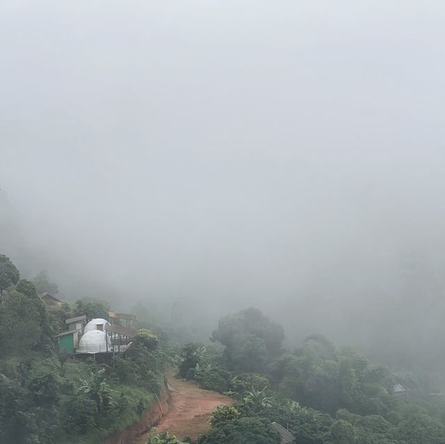 Phahee hi hi