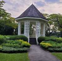 Beauty of Singapore Botanical Gardens
