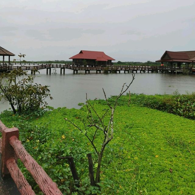 博他崙 Thale Noi 荷花湖
