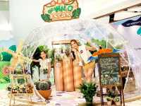 西寶城仲夏打造Go Wild Safari本地野外生態學堂 寓學習於娛樂