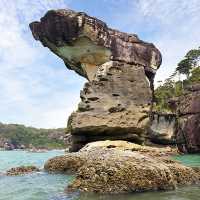 A Visit to Bako National Park 🏞️ 