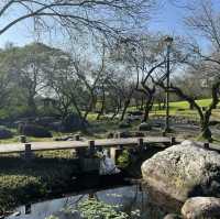 ️🌳🤸羅東運動公園～運動好玩又充滿活力！🏃‍♀️🌳