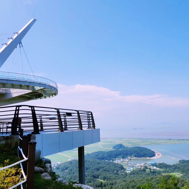 🚡 케이블모노레일을 타고 산수강산 절경을 감상할 수 있는 화개산!