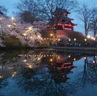 night view with takada castle 🏰 