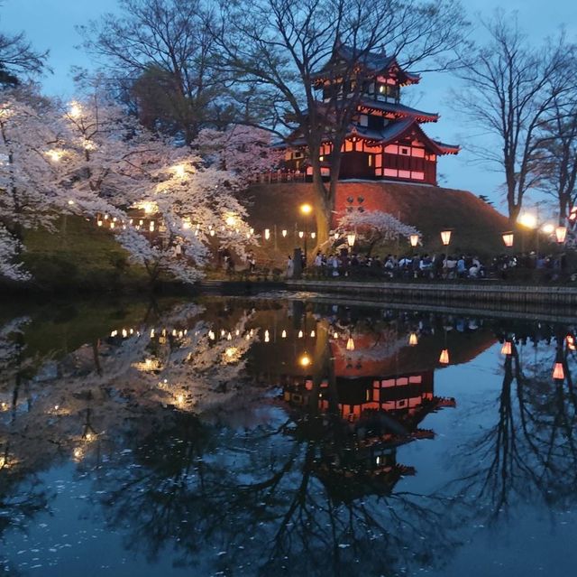 night view with takada castle 🏰 