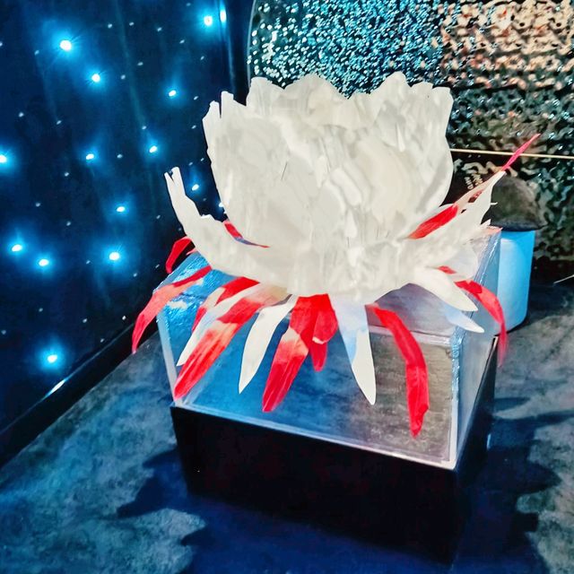 參觀 clarins 珍稀凝時體驗館!美妙! 參觀 clarins 珍稀凝時體驗館!美妙!