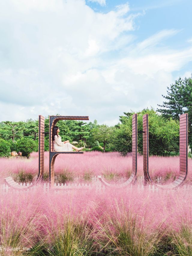 🎀가을 아름다운 분홍빛의 꽃 천국 [제주, 휴애리자연생활공원] 🍁