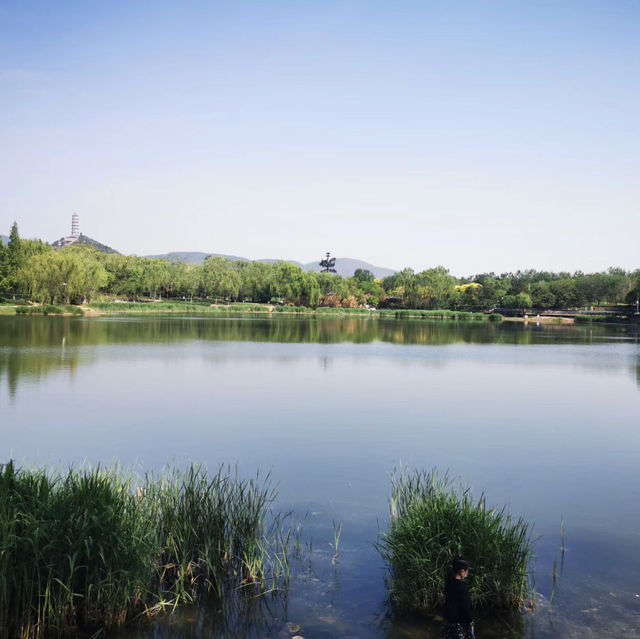 🌳🌸🏞️ 西山公園⛩️大自然的綠洲 🌳🌸🏞️