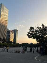 서울 대표 러닝 스팟, 여의도공원 ✨