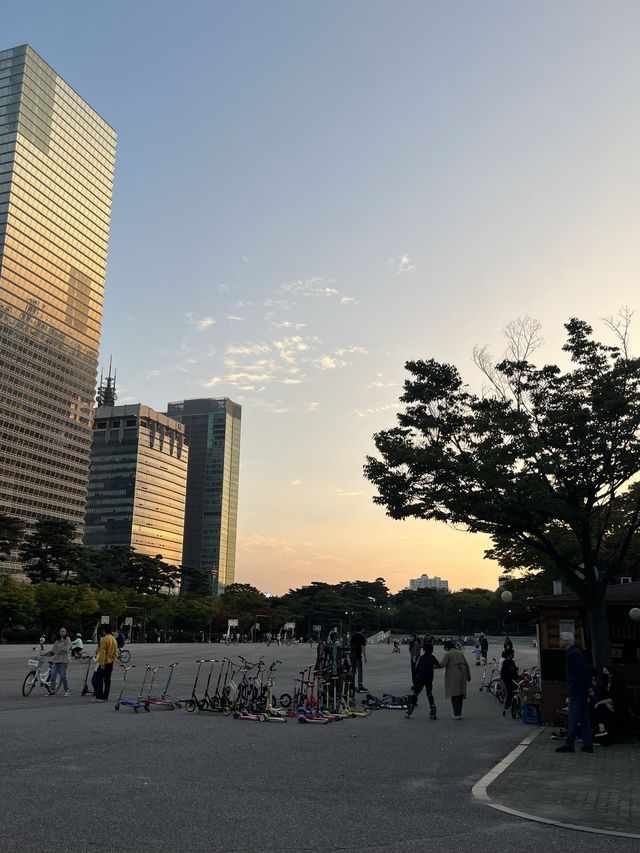 서울 대표 러닝 스팟, 여의도공원 ✨