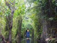 สวนพฤกษศาสตร์ระยอง