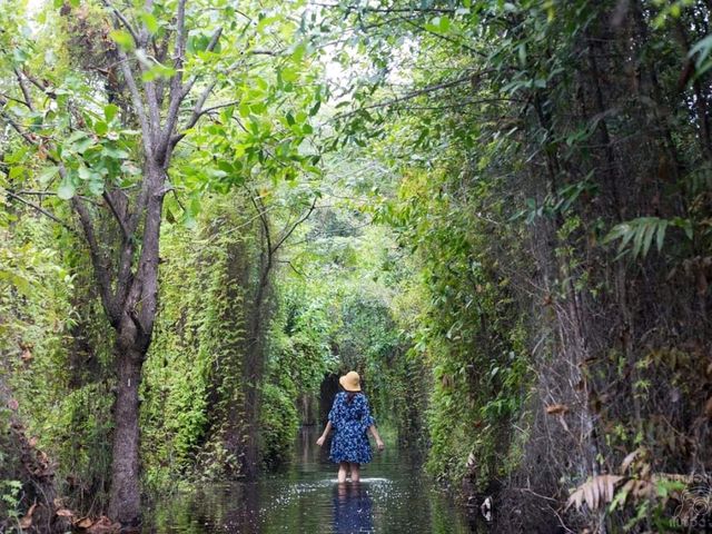 สวนพฤกษศาสตร์ระยอง