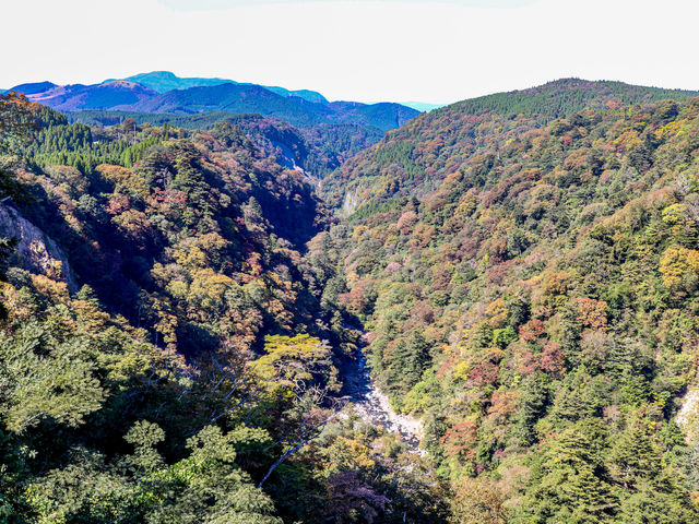 【大分県】天空の散歩道:九重"夢"大吊橋