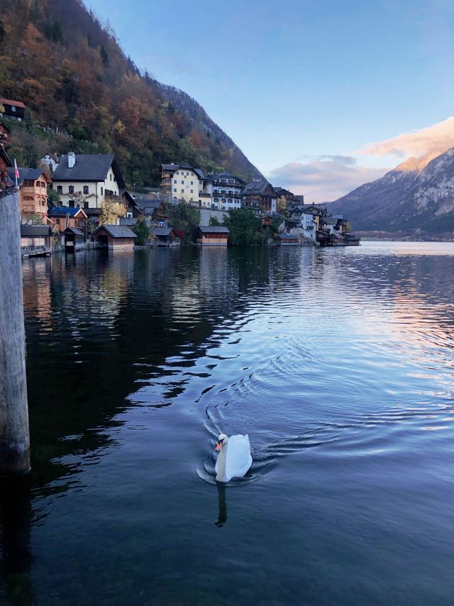 奧地利🇦🇹 哈爾施塔特 Hallstatt |來自天堂的名信片