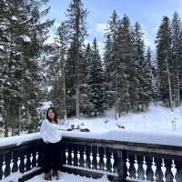 🇨🇭Arosa ฉันหนาวมาก 🐿️ 