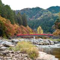  Korankei จุดชมใบไม้เปลี่ยนสีที่สวยมากในญี่ปุ่น