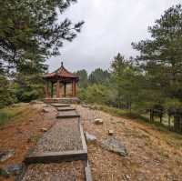 大雪山國家森林遊樂區的美好享受