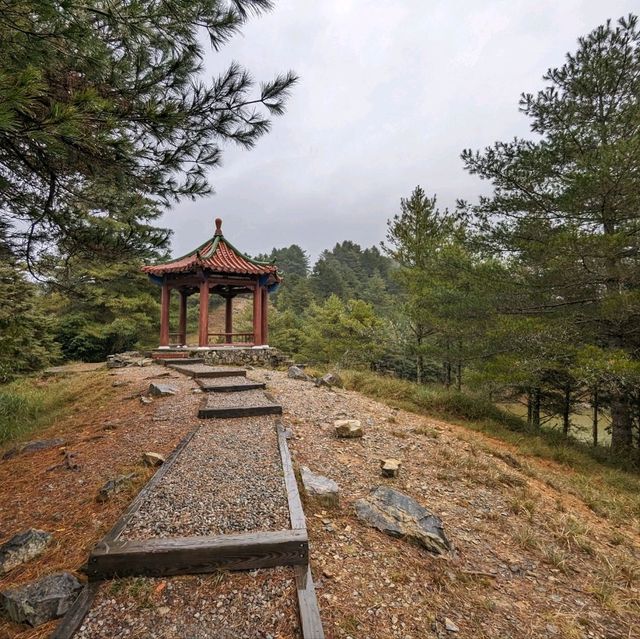 大雪山國家森林遊樂區的美好享受