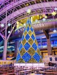 Winter Illumination สถานี Hakata จัดไฟปีใหม่แล้ว🎄